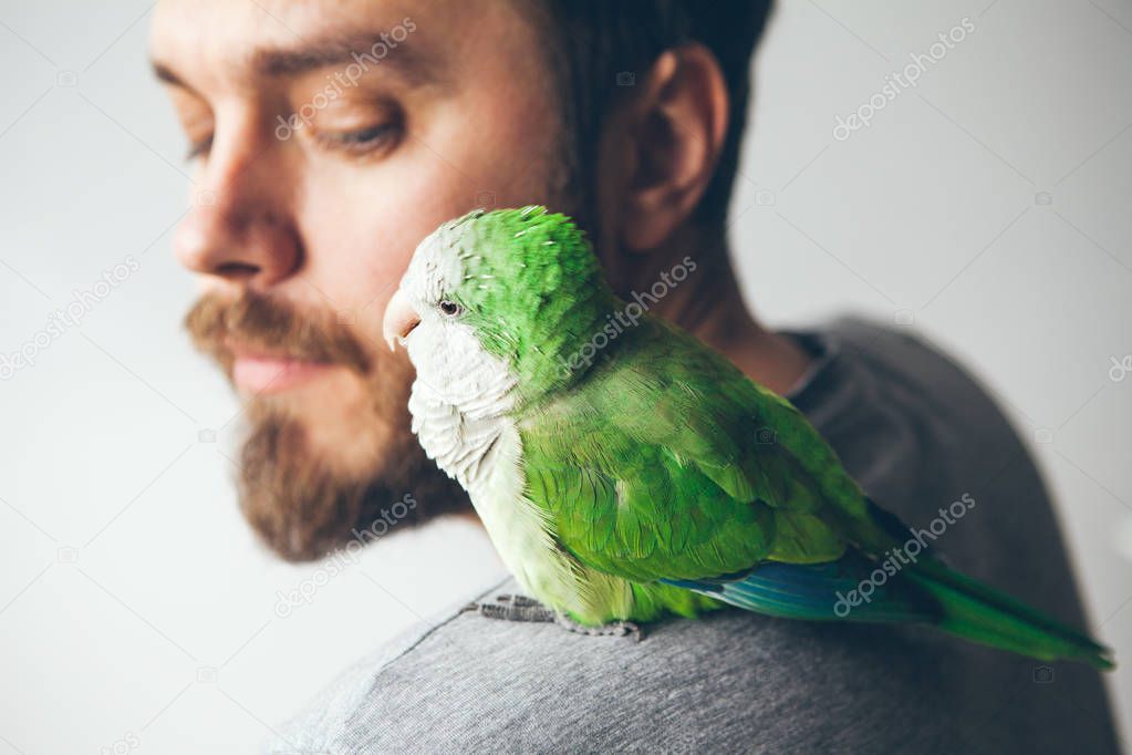 Close-up of beard man with green Quaker sitting on shoulder. Parrot and guy are looking at each other