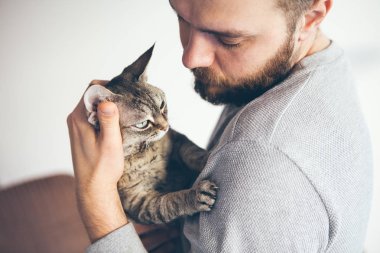 Tekir yoksun Rex kedi ve sakal insanın yakın çekim. Çekici adam onun silah şirin mırıltısı kedi içinde tutuyor ve bu sarılma. Kedi insanlar şirket sahiptir