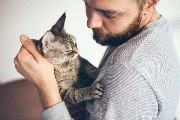 特写胡子的人与猫 生活方式的肖像 有爱心的男人抱着一只德文郡雷克斯 塔比猫 两人都深情地看着对方 选择性对焦 — 图库照片