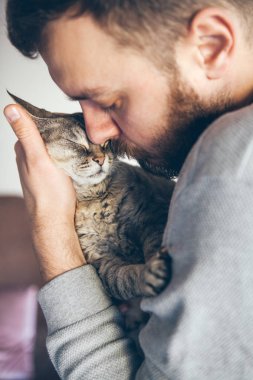 Close-up of handsome young guy with his cat. Home pets. Beard man is holding and lightly stroking his cute tabby Devon Rex cat, both of them enjoy a little cat-human contact. Breed with hypoallergenic fur, no low shedding cat breed, easy to care.