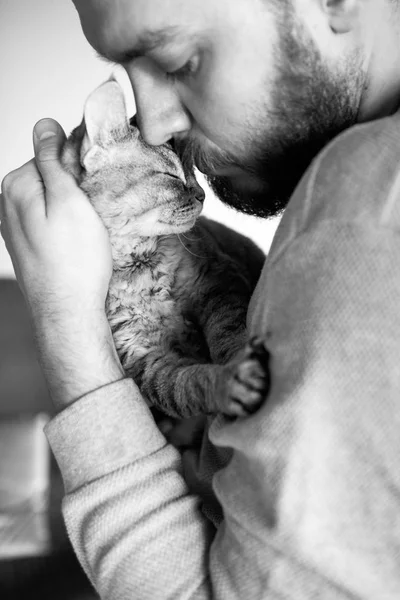 Black and white photo. Close-up of beard man is holding his cute purring Devon Rex cat. Muzzle of a cat and a man\'s face. Feeling relaxed and comfortable, communicating enjoyment.