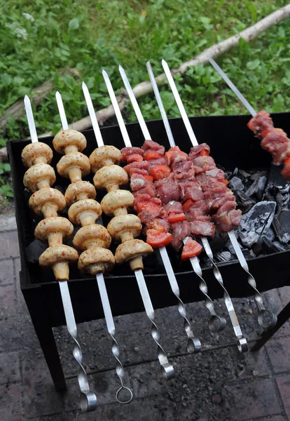 Kebab Houby Grilování Špejle Fotografii Uhly — Stock fotografie