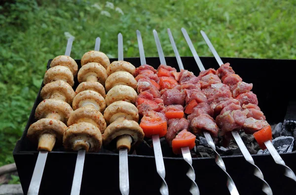 Kebab Och Svamp Grillning Spett Ritkol Foto — Stockfoto
