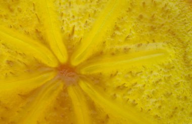 Arka plan grafik kaynakları kavramı. Trabzon hurması meyve closeup makro dilim.