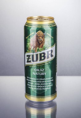 Zubr lager bira degrade arka plan üzerinde izole. Zubr bira Güney Piwowarska Sa tarafından demlenmiş. Dojlidy bira 1768 yılında açılan bu yana Zubr demlenmiş