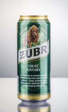 Zubr lager bira degrade arka plan üzerinde izole. Zubr bira Güney Piwowarska Sa tarafından demlenmiş. Dojlidy bira 1768 yılında açılan bu yana Zubr demlenmiş