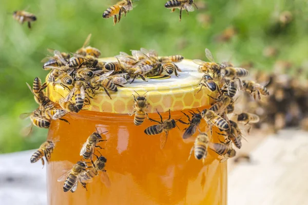 Enjambre Abejas Alrededor Frasco Lleno Miel Colmenar — Foto de Stock