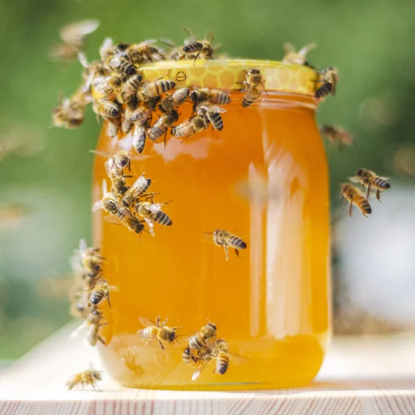 Zwerm Bijen Rond Een Pot Vol Honing Bijenstal — Stockfoto