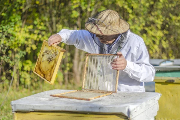 Apiarista Senior Haciendo Inspección Colmenar Verano —  Fotos de Stock