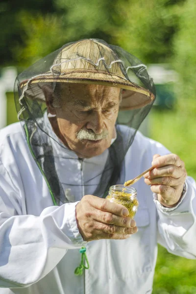 Arı Kovanındaki Polenleri Kontrol Eden Kıdemli Arıcı — Stok fotoğraf