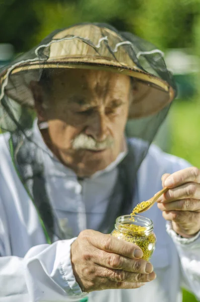 Senior Bijenhouder Controleert Zijn Honing Bijenstal — Stockfoto