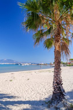 Alykanas 'taki kumlu sahile. Yunanistan 'ın Zakynthos adasının doğu kıyısında yer almaktadır..