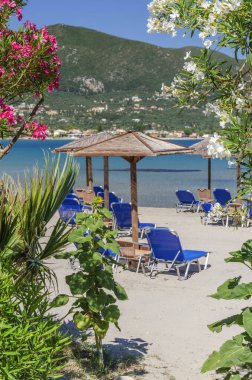 Yunanistan 'ın Zakynthos adasının doğu kıyısında yer alan güzel çiçek ve bitkilerle dolu Alykanas' taki resimli kumlu plaj.