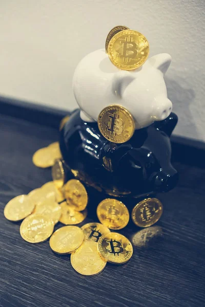 Bitcoin. Piggy bank in the background.