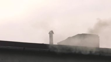 Bacasından duman yükselir. Hava kirliliği. 4k, Uhd, 50p, sinema, yakın-up, 