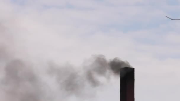 Smoke Rises Chimney Air Pollution Uhd 50P Cinematic Close — Stock Video