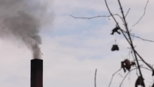 Füst Emelkedik Kéményen Légszennyezés Uhd 50P Filmszerű Zár Megjelöl — Stock videók