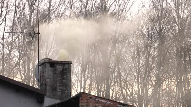 Füst Emelkedik Kéményen Légszennyezés Uhd 50P Filmszerű Zár Megjelöl — Stock videók