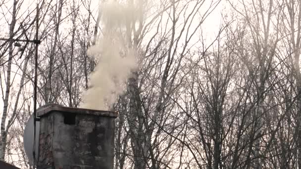 Humo Sale Chimenea Contaminación Atmosférica Uhd 50P Cine Acercamiento — Vídeos de Stock