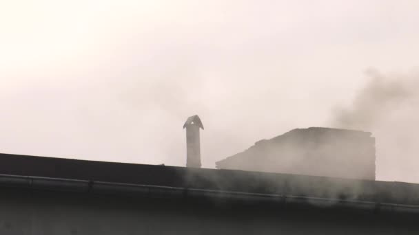 Smoke rises from the chimney. Air pollution. 4K, UHD, 50p, Cinematic,Close-up, — Stock Footage Smoke Rises Chimney Air Pollution Uhd 50P Cinematic Close Royalty Free Stock Footage