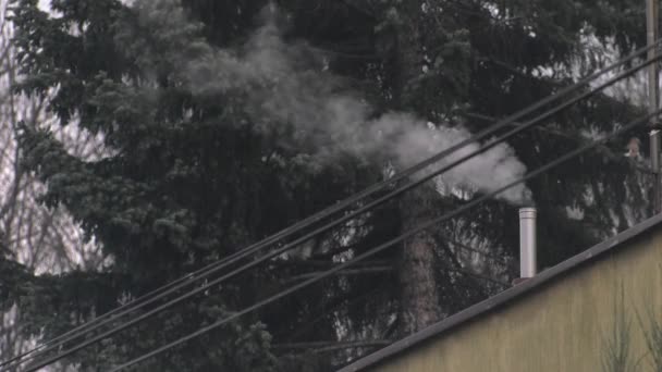 Bacasından Duman Yükselir Hava Kirliliği Uhd 50P Sinema Yakın — Stok video