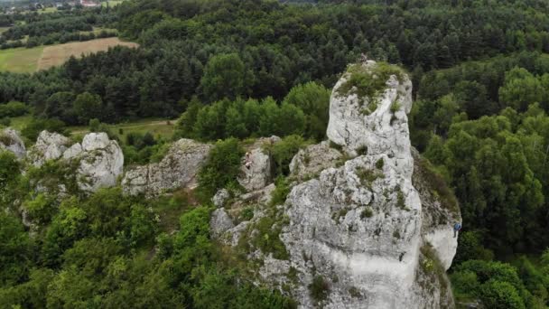 Arial View Hole Rock Rocks Forest Background Uhd Cinematic — Αρχείο Βίντεο