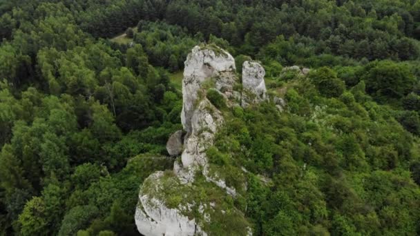 Arial View Hole Rock Rocks Forest Background Uhd Cinematic — Stok Video