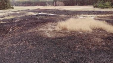 Arial view on Burned grass. Incendies.4K, UHD, Cinematic, Aerial footage
