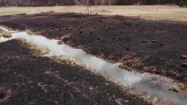 Arial view on Burned grass. Incendies.4K, UHD, Cinematic, Aerial footage