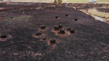 Arial view on Burned grass. Incendies.4K, UHD, Cinematic, Aerial footage