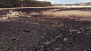 Arial view on Burned grass. Incendies.4K, UHD, Cinematic, Aerial footage