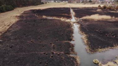 Arial view on Burned grass. Incendies.4K, UHD, Cinematic, Aerial footage