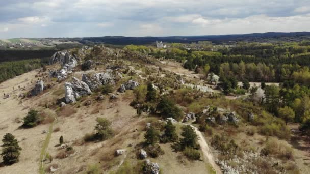 Arial View Historic Castle Mirow Jura Cracow Poland 2020 Uhd — стокове відео