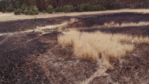 Arial View Burned Grass Incendies Uhd Cinematic Aerial Footage — Vídeos de Stock