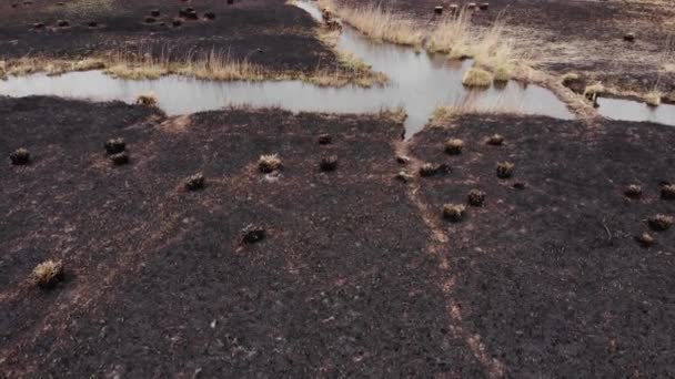 Arial View Burned Grass Incendies Uhd Cinematic Aerial Footage — Vídeo de stock