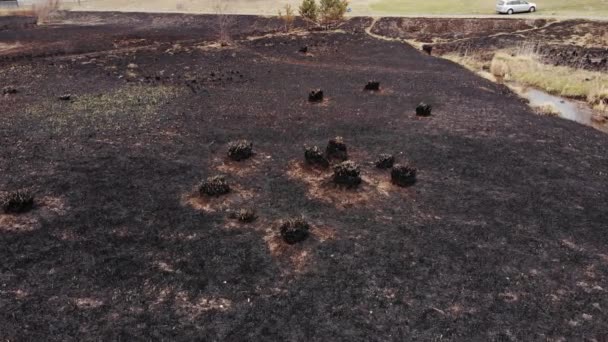 Arial View Burned Grass Incendies Uhd Cinematic Aerial Footage — стокове відео