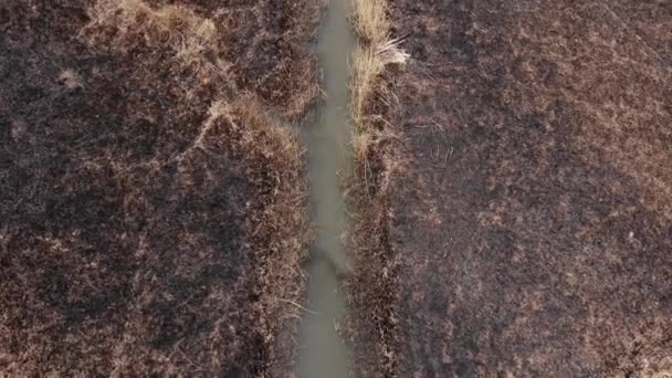 Arial View Burned Grass Incendies Uhd Cinematic Aerial Footage — Vídeo de Stock