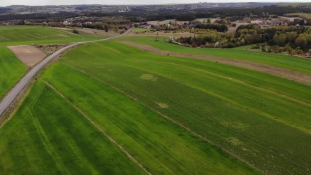 Beautiful View Agricultural Field Cloudy Spring Day Drone Flying Wheat — Vídeo de Stock
