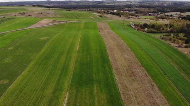 Beautiful View Agricultural Field Cloudy Spring Day Drone Flying Wheat — Stockvideo