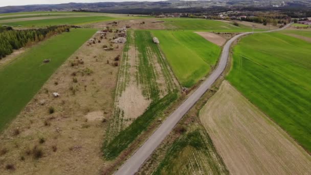 Beautiful View Agricultural Field Cloudy Spring Day Drone Flying Wheat — Videoclip de stoc