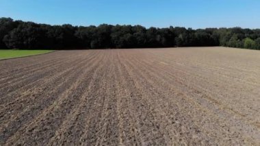 Beautiful view of  agricultural field on cloudy spring day. Drone flying over wheat field in the countryside.