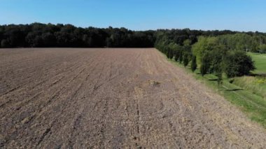 Beautiful view of  agricultural field on cloudy spring day. Drone flying over wheat field in the countryside.