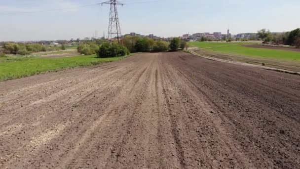 Beautiful View Agricultural Field Cloudy Spring Day Drone Flying Wheat — Videoclip de stoc