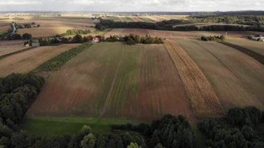 Colorful fields.4K, UHD, Cinematic, Aerial footage