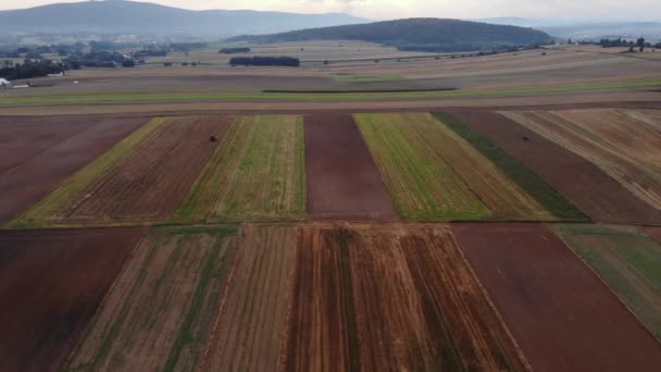 Beautiful View Agricultural Field Cloudy Spring Day Drone Flying Wheat — Vídeo de Stock