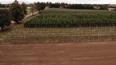 Colorful fields.4K, UHD, Cinematic, Aerial footage