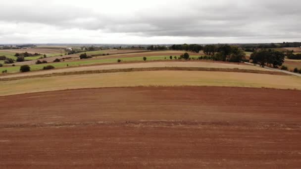 Colorful Fields Uhd Cinematic Aerial Footage — Stock videók