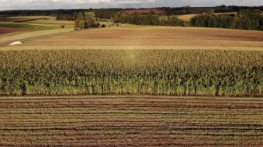 Colorful fields.4K, UHD, Cinematic, Aerial footage