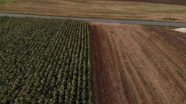 Colorful Fields Uhd Cinematic Aerial Footage — Vídeo de Stock