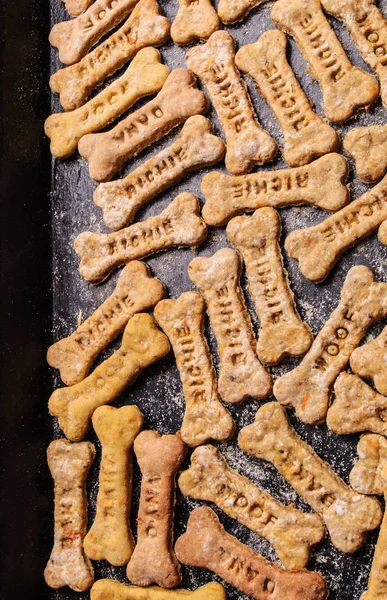 Dulces caseros de avena para perros con zanahorias — Foto de Stock